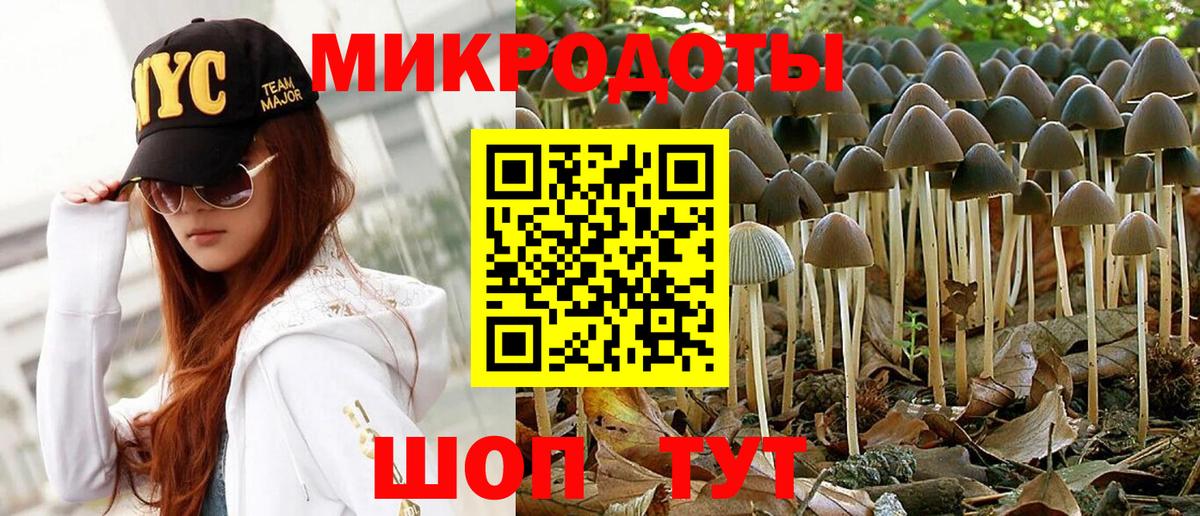 Псилоцибиновые грибы прущие грибы Избербаш