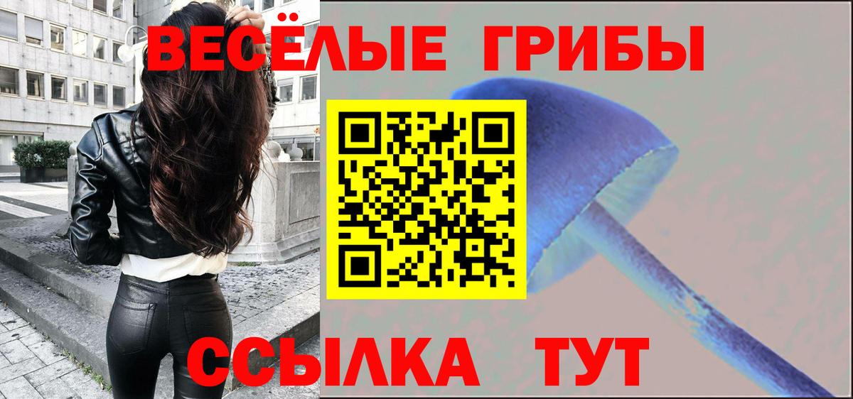 Галлюциногенные грибы мицелий  Вход с VPN  Избербаш 
