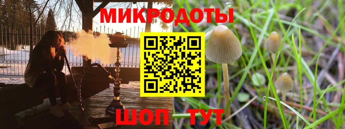 Псилоцибиновые грибы GOLDEN TEACHER  Избербаш 