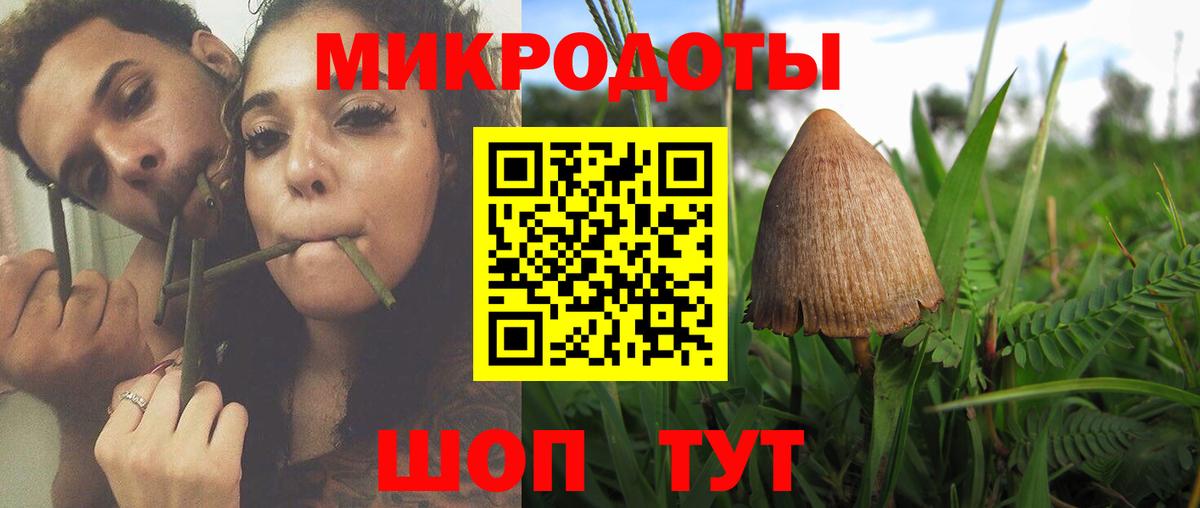 Псилоцибиновые грибы ЛСД Избербаш